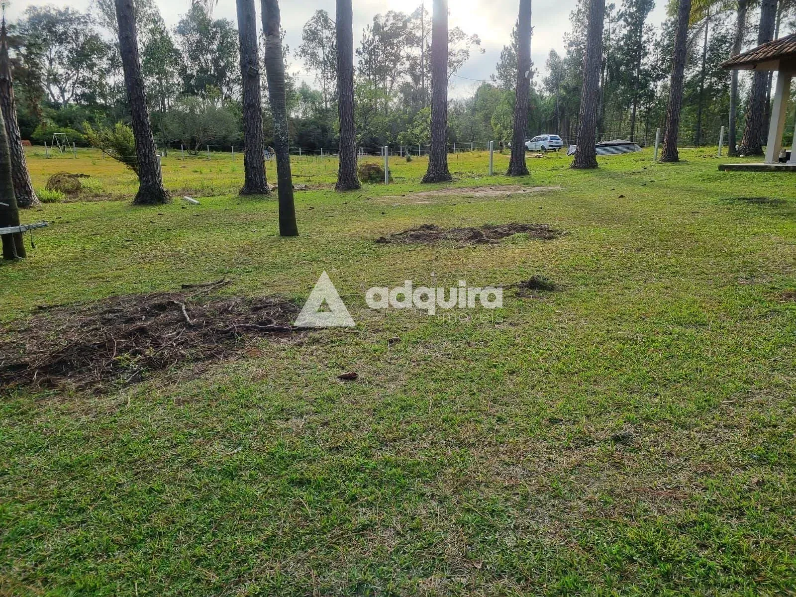 Chácara, 2 quartos, 2000 m² - Foto 29