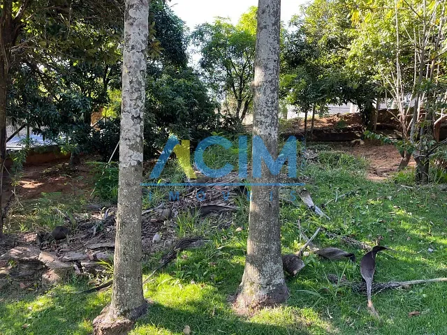 Chácara com 1440m² 3 quartos e 1 banheiro, à venda, no bairro Capela Santo Antonio em Jaguariúna