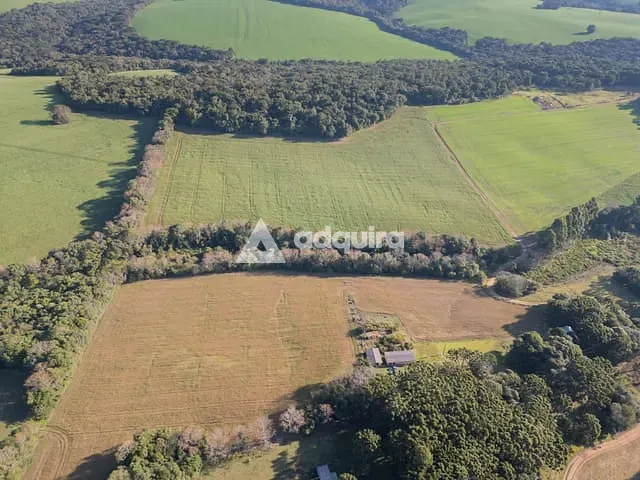 Chácara com 217885m² 3 quartos e 1 banheiro, à venda, no bairro Cará-cará em Ponta Grossa