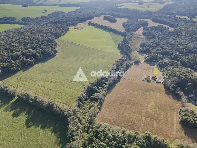 Chácara com 217885m² 3 quartos e 1 banheiro, à venda, no bairro Cará-cará em Ponta Grossa