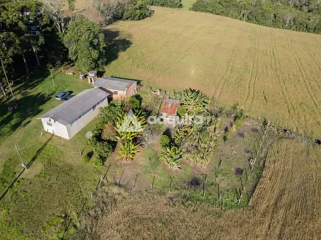 Chácara com 217885m² 3 quartos e 1 banheiro, à venda, no bairro Cará-cará em Ponta Grossa