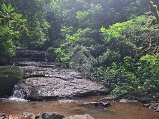 Chácara 2 quartos e 1 banheiro, à venda, no bairro Interior em Boa Vista do Sul