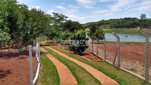 Sítio, 2 quartos, 2000 m² - Foto 4