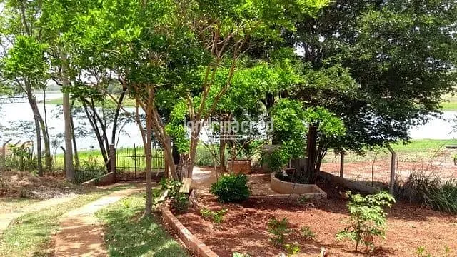 Sítio, 2 quartos, 2000 m² - Foto 6