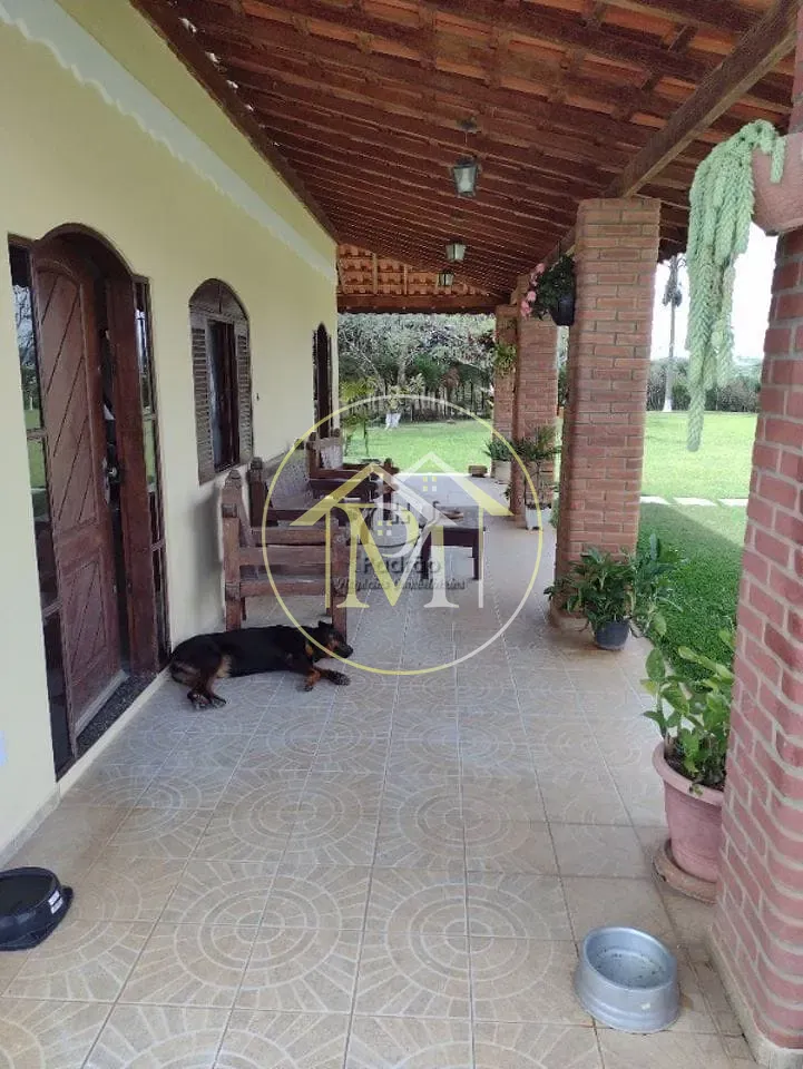 Sítio, 5 quartos, 1000 m² - Foto 4