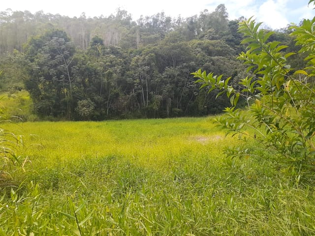Chácara com 270000m², à venda, no bairro Pouso Frio em Taubaté