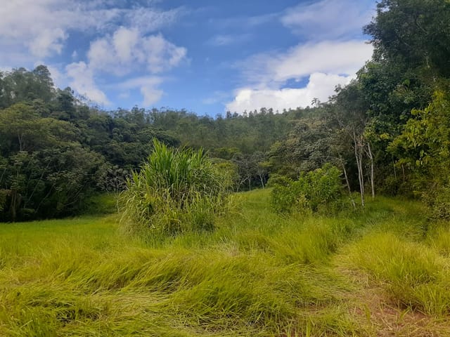 Chácara com 270000m², à venda, no bairro Pouso Frio em Taubaté