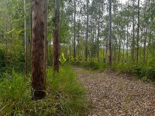Chácara com 270000m², à venda, no bairro Pouso Frio em Taubaté