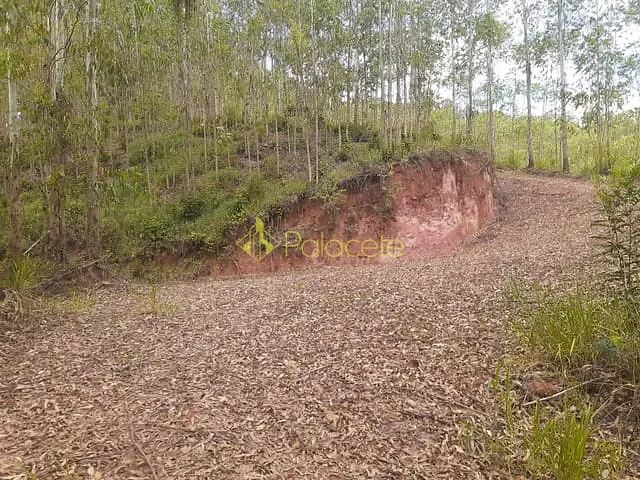 Chácara com 270000m², à venda, no bairro Pouso Frio em Taubaté