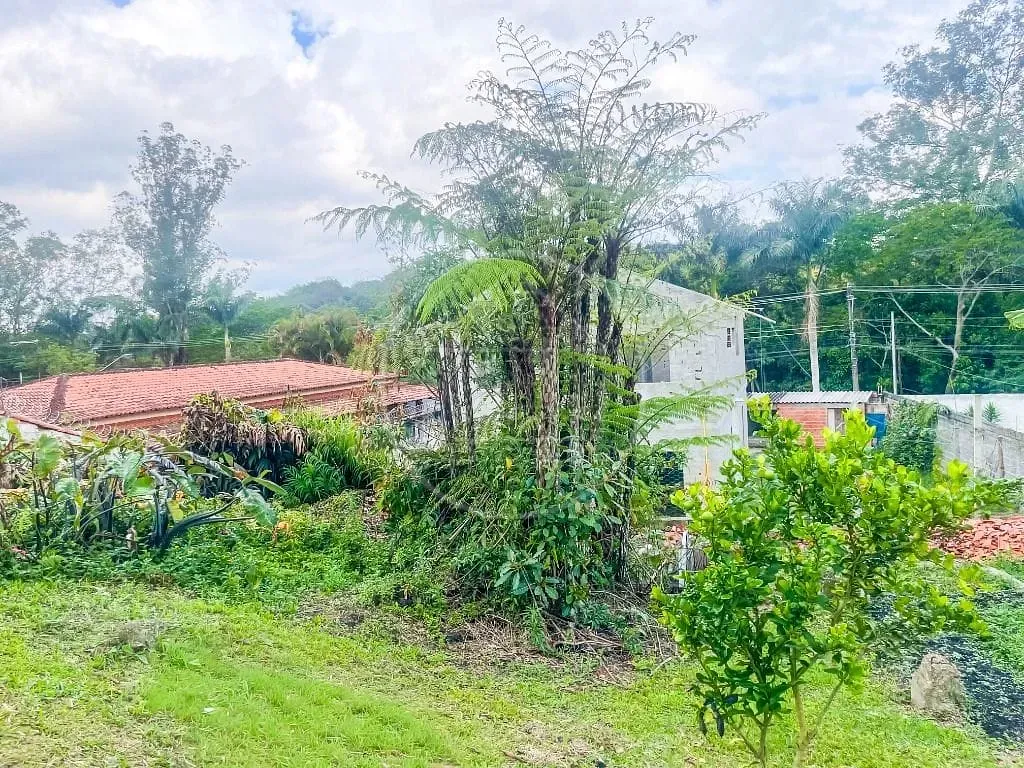 Sítio, 3 quartos, 2000 m² - Foto 31