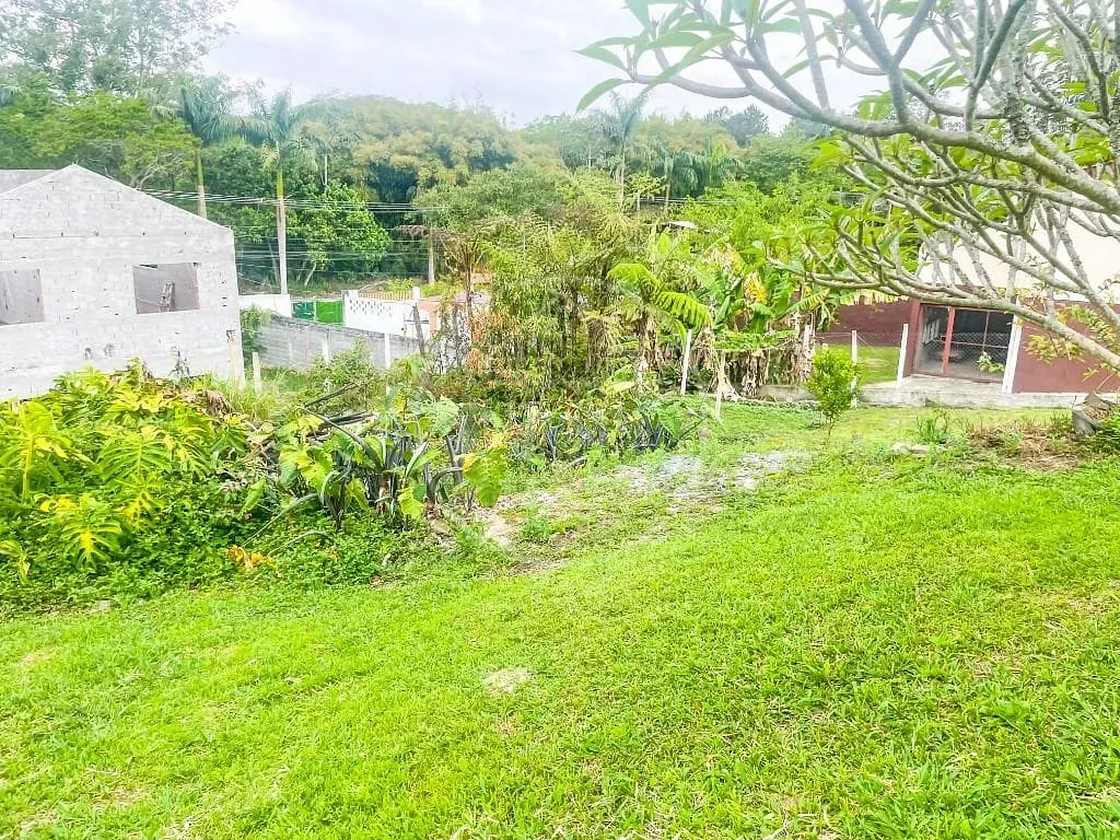 Sítio, 3 quartos, 2000 m² - Foto 41