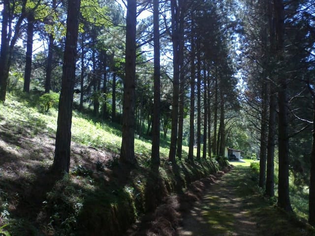 Chácara com 13000m² 4 quartos e 2 banheiros, à venda, no bairro Furnas em Extrema