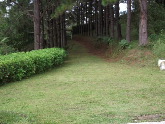 Chácara com 13000m² 4 quartos e 2 banheiros, à venda, no bairro Furnas em Extrema