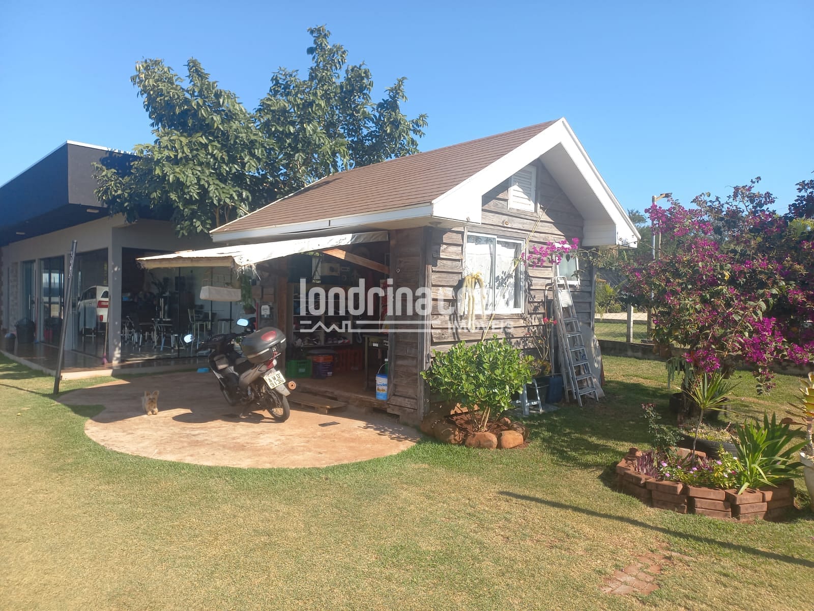 Sítio, 3 quartos, 2502 m² - Foto 2