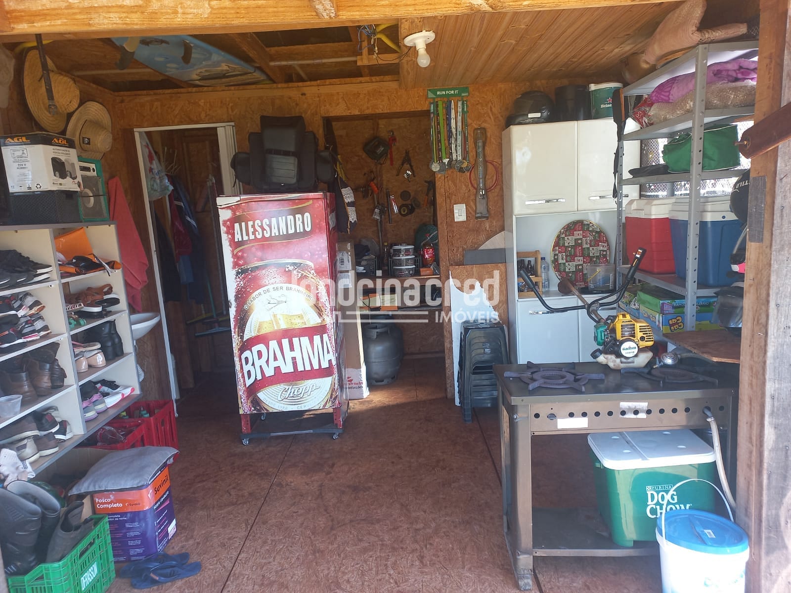 Sítio, 3 quartos, 2502 m² - Foto 3