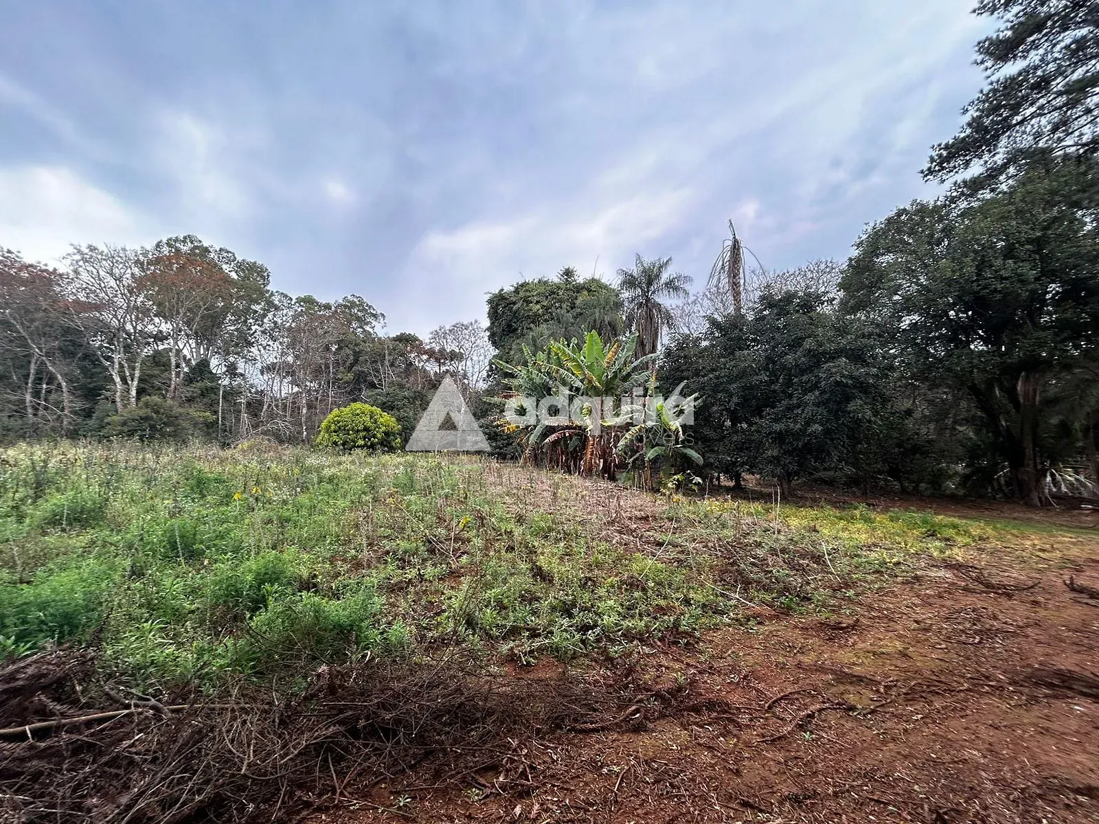Terreno, 2 hectares - Foto 9