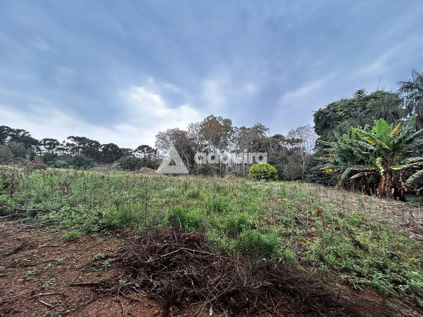 Terreno, 2 hectares - Foto 10