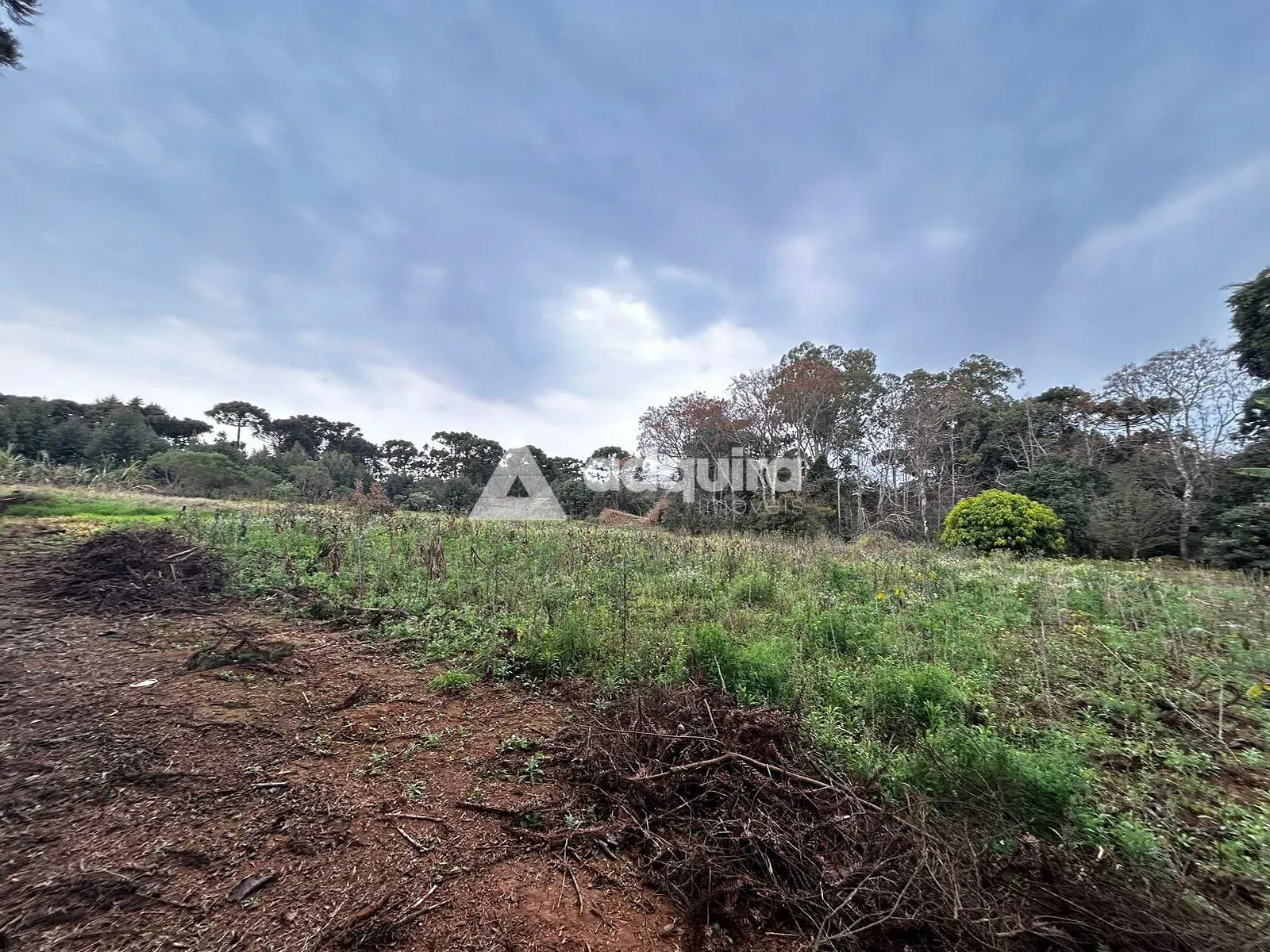 Terreno, 2 hectares - Foto 11