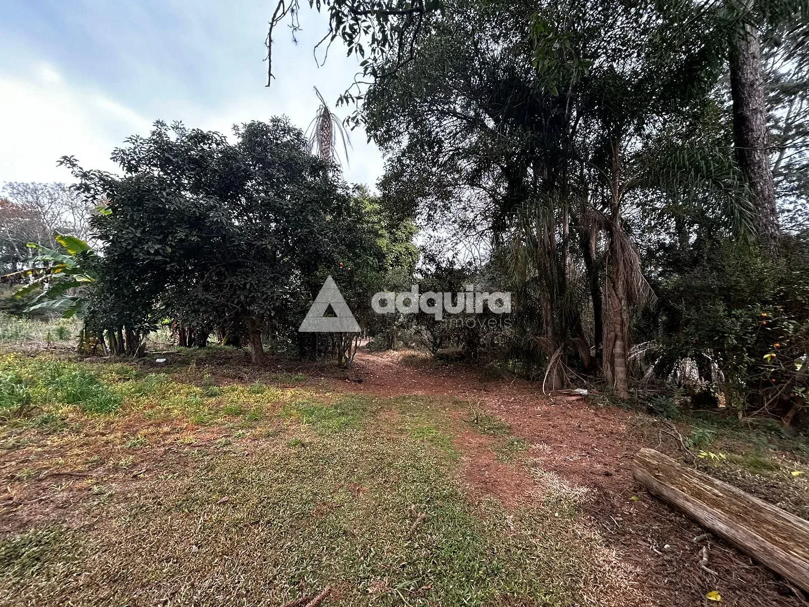 Terreno, 2 hectares - Foto 12