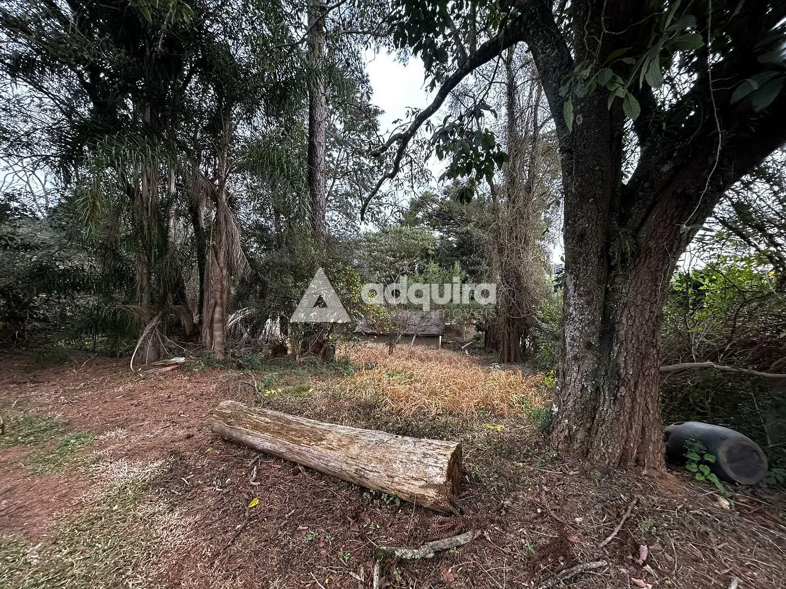 Terreno, 2 hectares - Foto 13