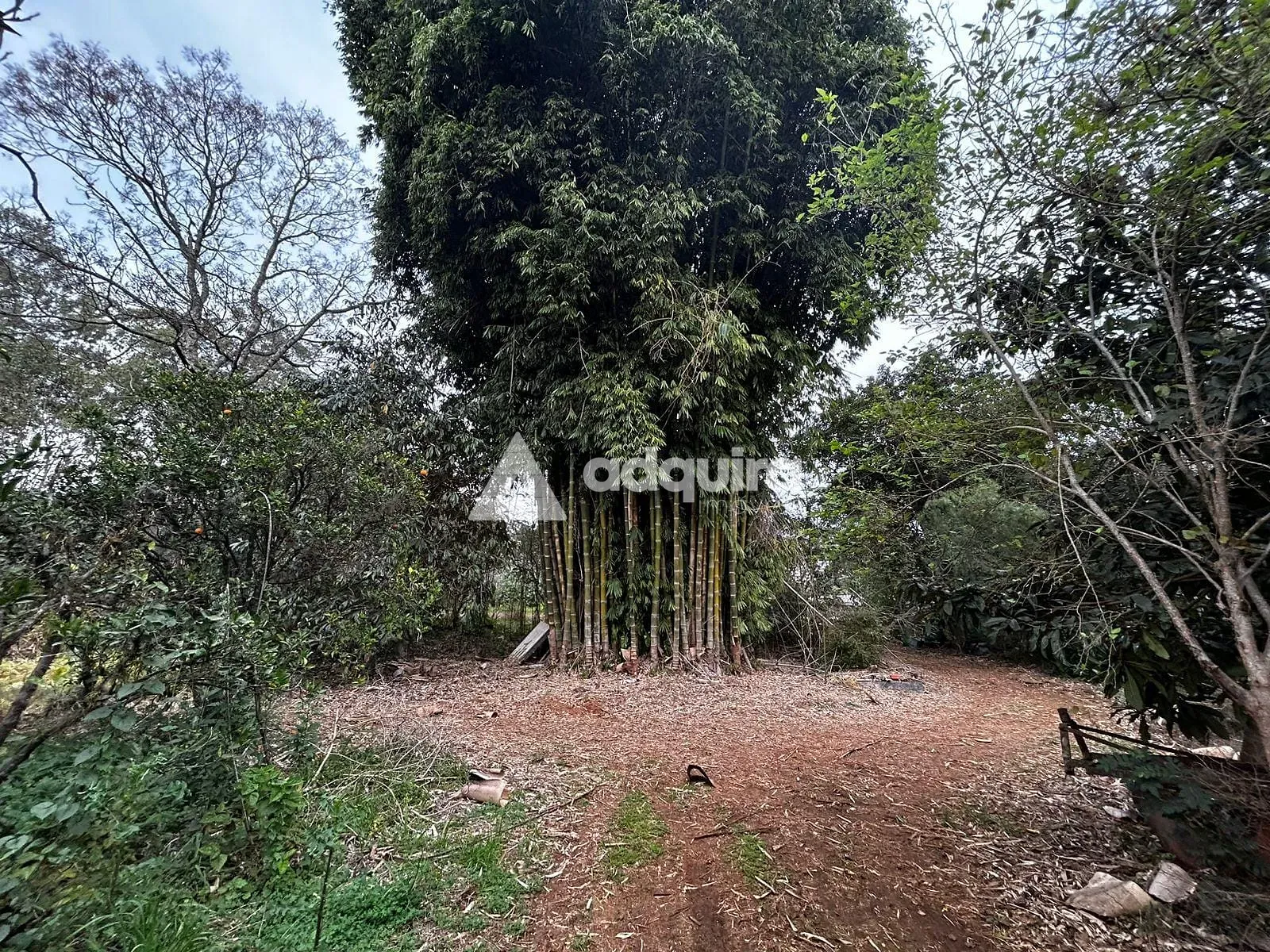Terreno, 2 hectares - Foto 14