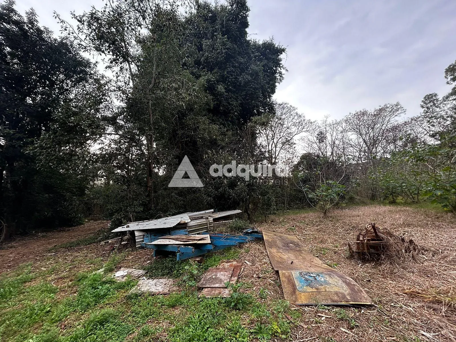 Terreno, 2 hectares - Foto 15