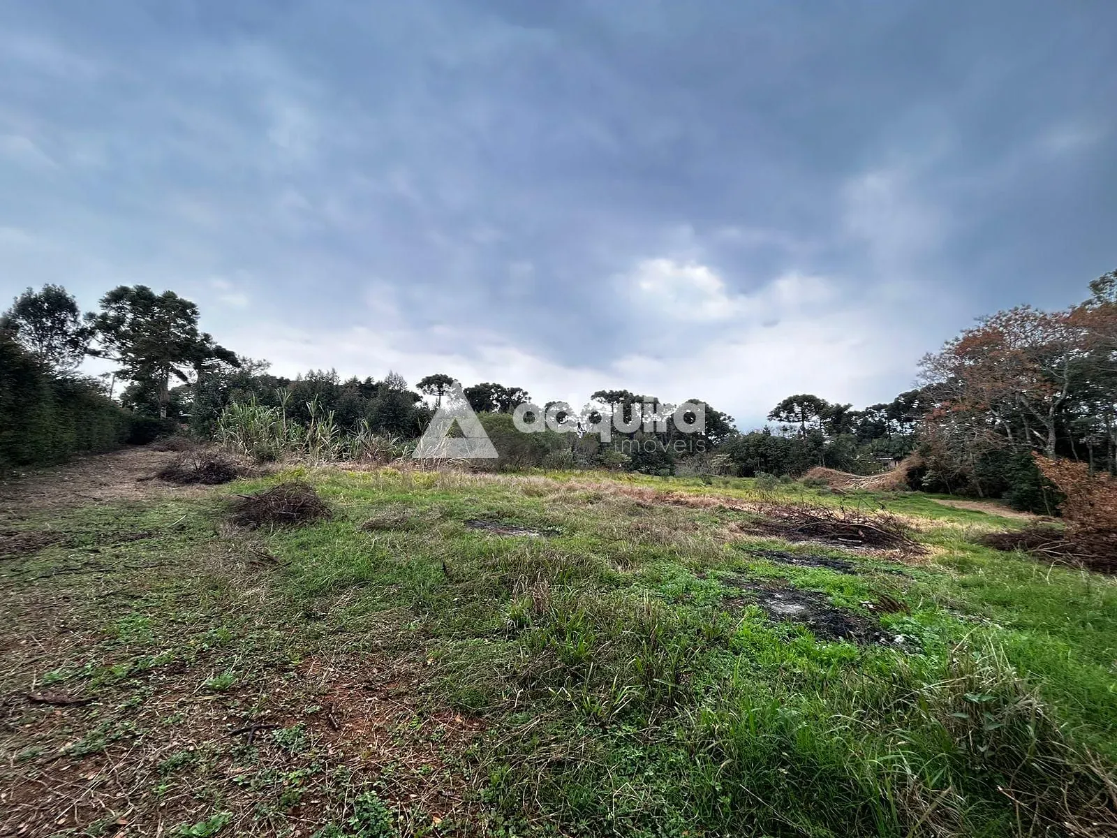 Terreno, 2 hectares - Foto 7