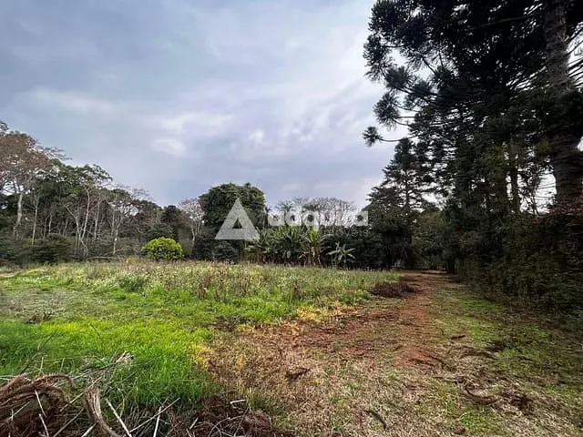 Terreno com 15000m², à venda, no bairro Contorno em Ponta Grossa