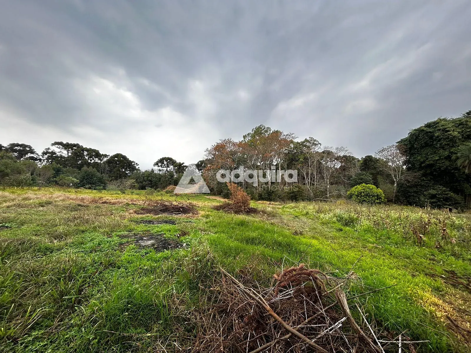 Terreno, 2 hectares - Foto 8