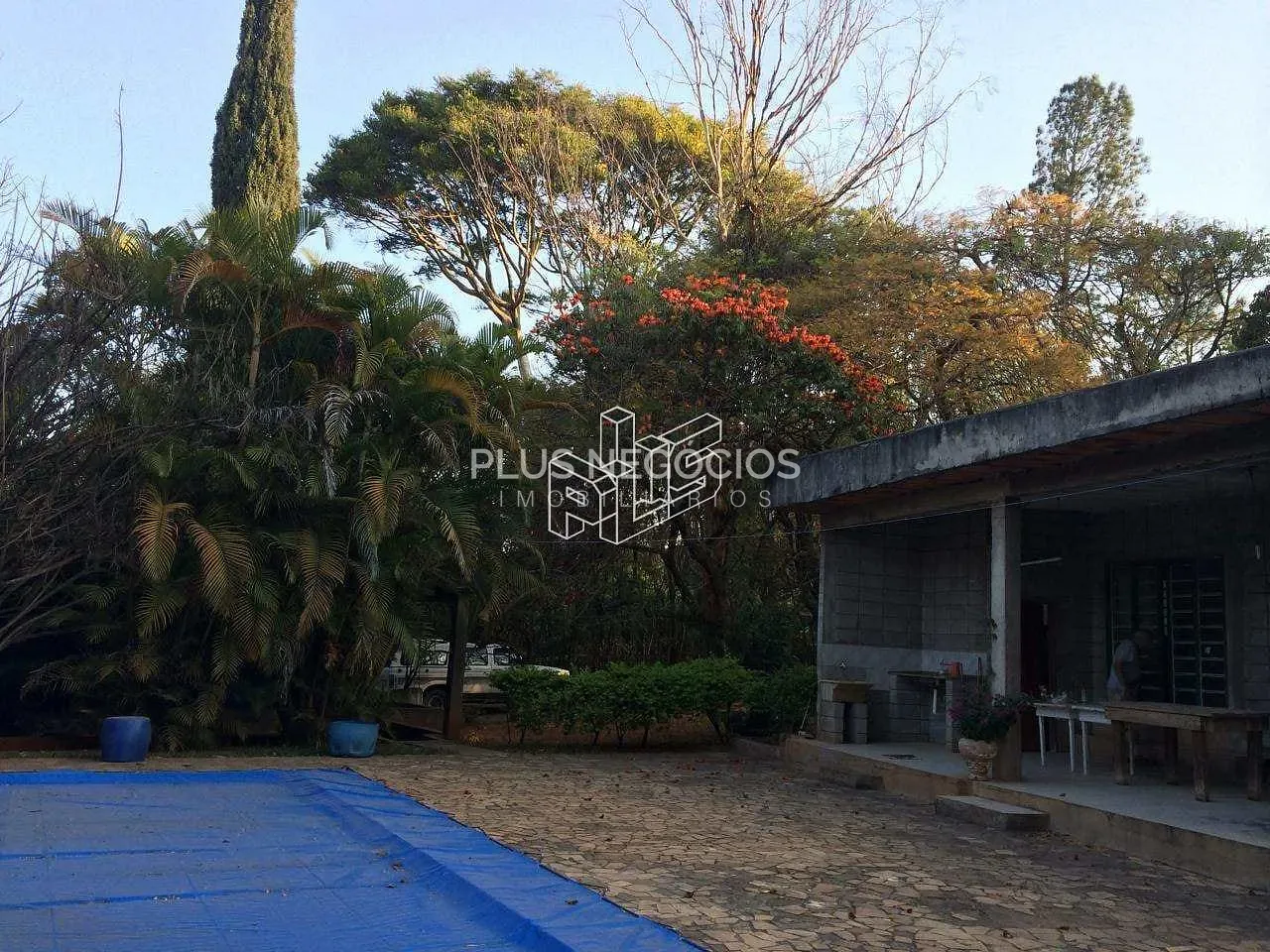 Chácara, 5 quartos, 5500 m² - Foto 2