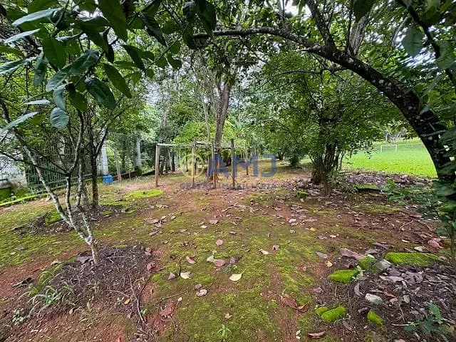 Sítio, 5 quartos, 1689 m² - Foto 31