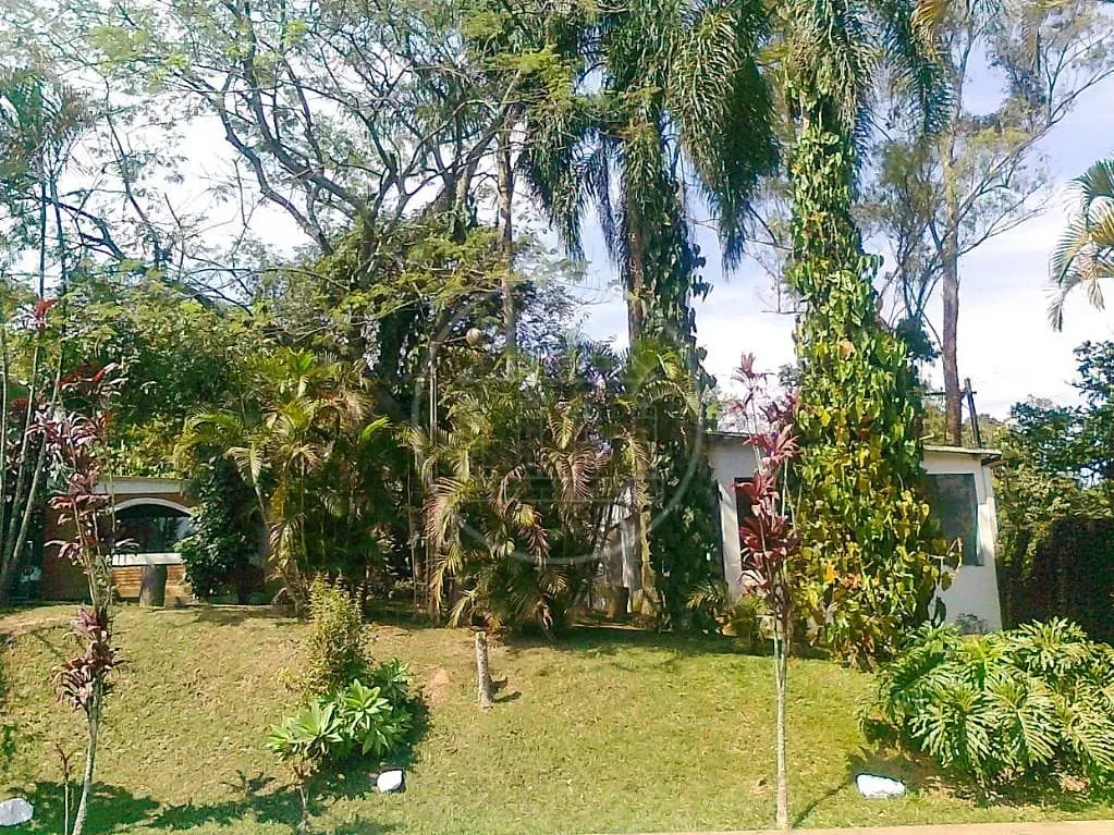 Sítio, 3 quartos, 3451 m² - Foto 14