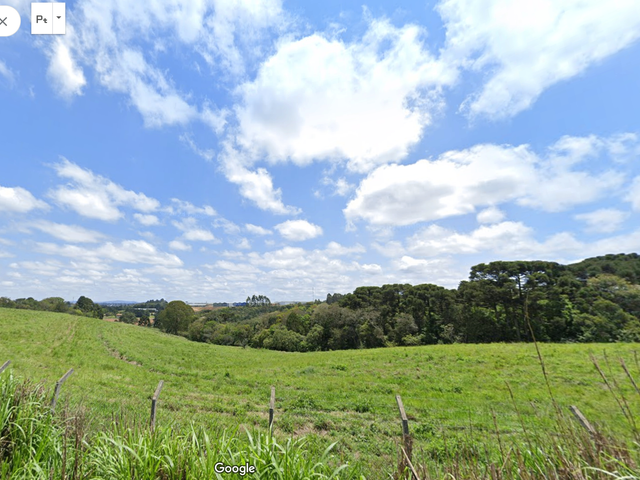 Chácara com 74721m² 1 quarto e 1 banheiro, à venda, no bairro Ferraria em Campo Largo