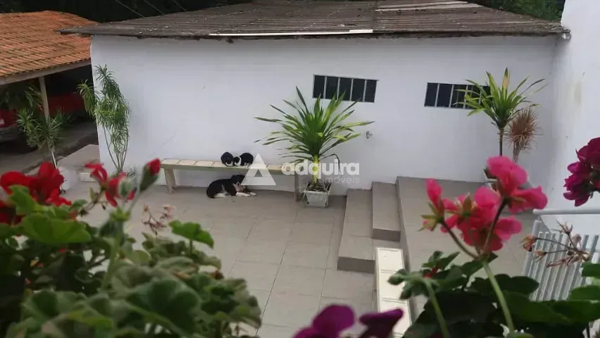 Chácara, 3 quartos, 3000 m² - Foto 15