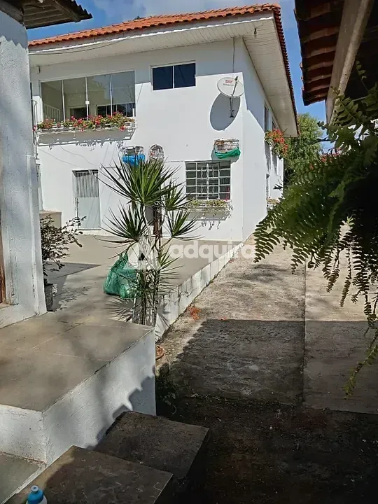 Chácara, 3 quartos, 3000 m² - Foto 4