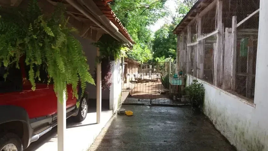 Chácara, 3 quartos, 3000 m² - Foto 16