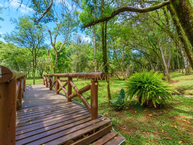 Chácara com 45724m² 4 quartos e 3 banheiros, à venda, no bairro Colônia Balbino Cunha em Campo Largo