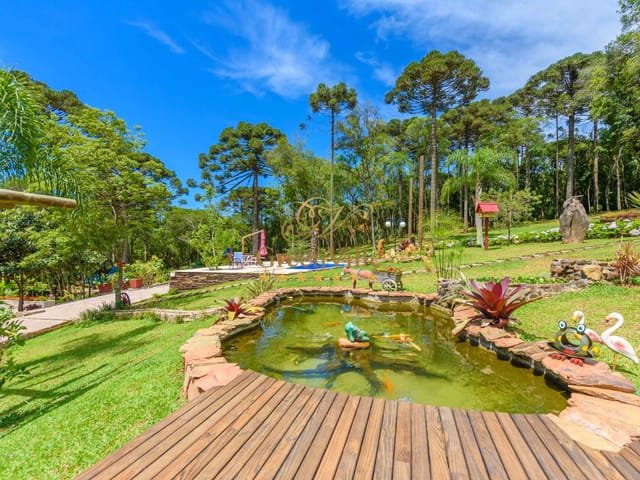 Chácara com 45724m² 4 quartos e 3 banheiros, à venda, no bairro Colônia Balbino Cunha em Campo Largo