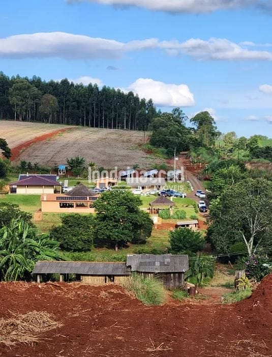 Sítio, 4 quartos, 2 hectares - Foto 1