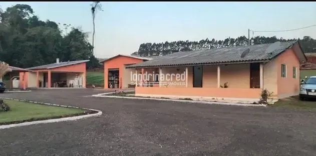Sítio, 4 quartos, 2 hectares - Foto 6