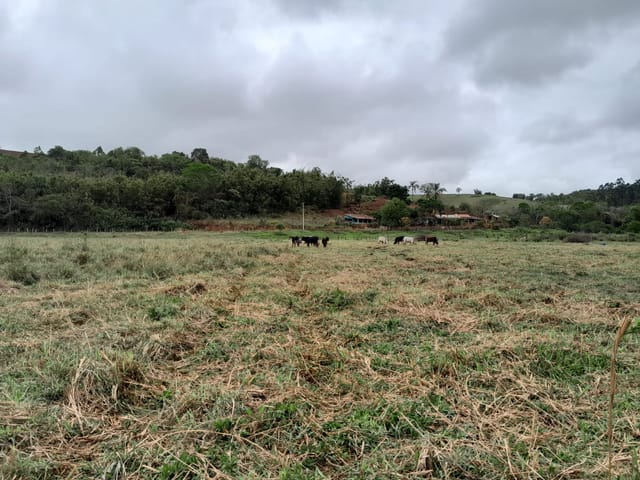 Chácara com 48400m², à venda, no bairro Rio Abaixo em São Luiz Do Paraitinga