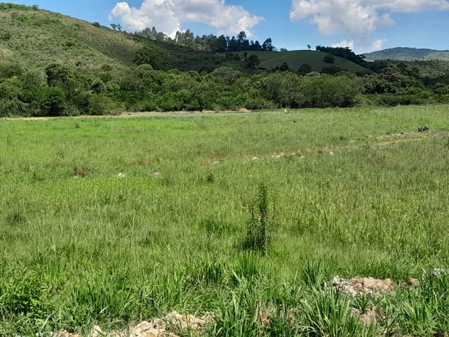 Chácara com 48400m², à venda, no bairro Rio Abaixo em São Luiz Do Paraitinga