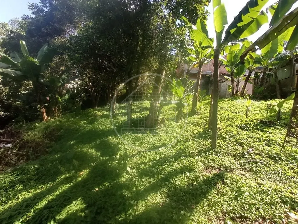 Sítio, 2 quartos, 3206 m² - Foto 10