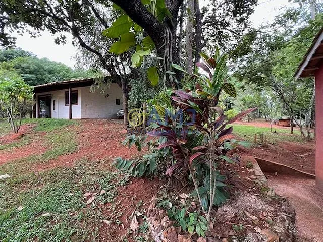 Sítio, 4 quartos, 5432 m² - Foto 26