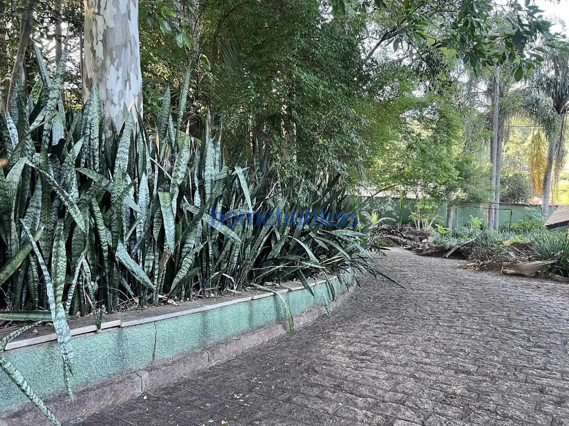 Chácara, 4 quartos, 1 hectares - Foto 15