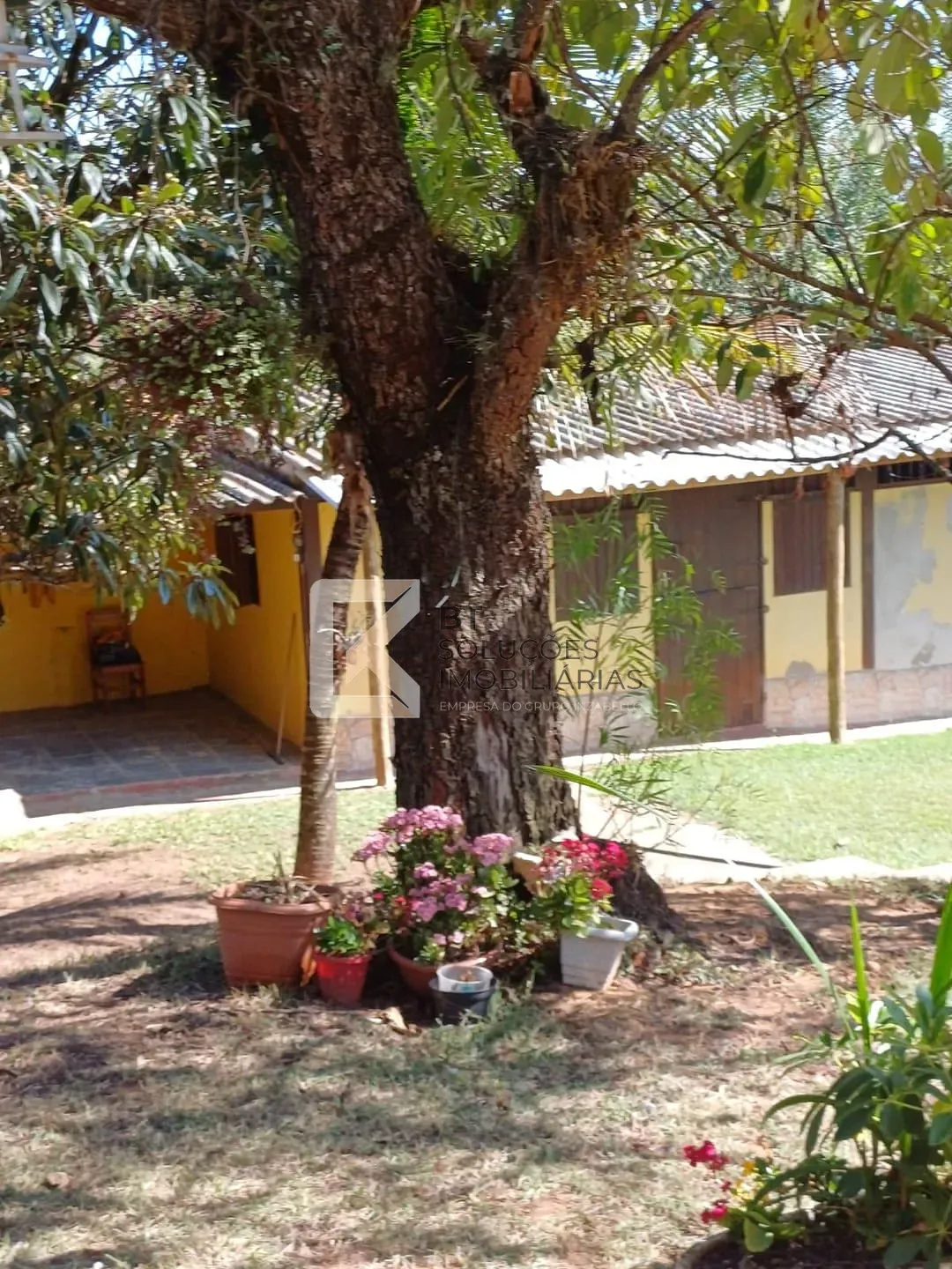 Sítio, 5 quartos, 10 m² - Foto 14