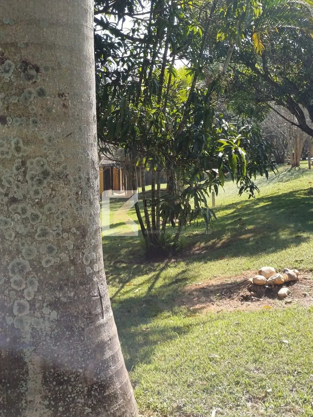 Sítio, 5 quartos, 10 m² - Foto 17