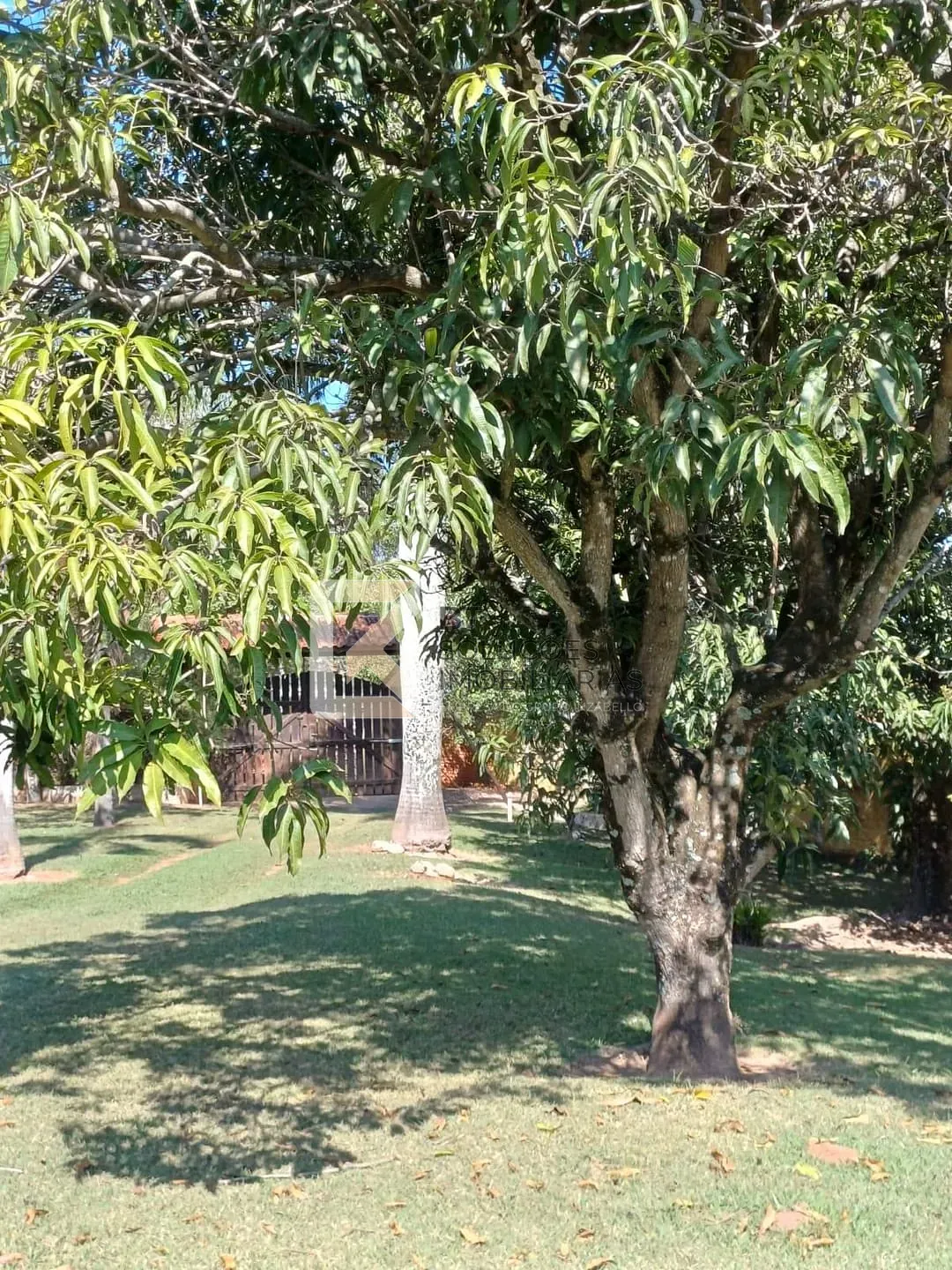 Sítio, 5 quartos, 10 m² - Foto 18