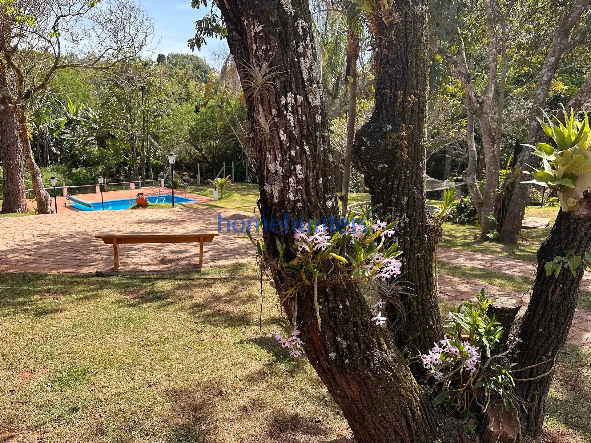 Chácara, 3 quartos, 3700 m² - Foto 8