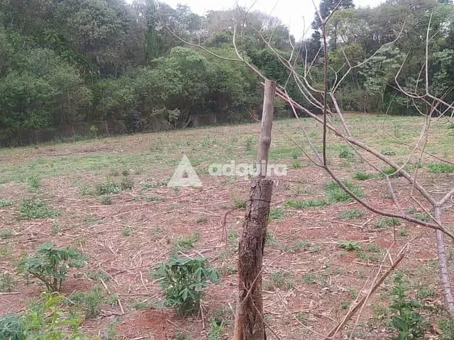 Chácara com 9868m² 3 quartos e 1 banheiro, à venda, no bairro Tibagi em Alto do Amparo